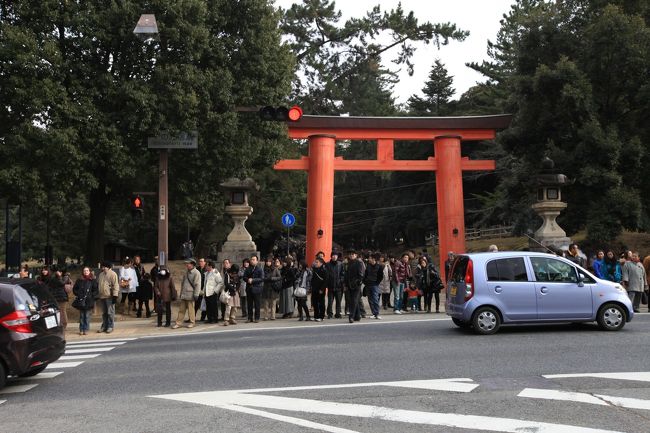 春日大社<br /><br />◎ 春日大社の関連旅行記<br /><br />2011/05/08　瓶にさす 藤の花ぶさ みじかければ　たたみの上に とどかざりけり 「春日大社」<br />http://4travel.jp/traveler/minikuma/album/10565707/<br /><br />2011/02/13　しあわせ回廊　なら瑠璃絵　「春日大社万燈籠」 <br />http://4travel.jp/traveler/minikuma/album/10545796/<br /><br />2010/05/08　２０品種・約２００本の藤の名所 春日大社神苑　「萬葉植物園」<br />http://4travel.jp/traveler/minikuma/album/10457035/<br /><br />2010/05/08　平城遷都１３００年祭 〜砂ずりの藤開花〜 「春日大社」<br />http://4travel.jp/traveler/minikuma/album/10456962/<br /><br />2010/01/17　【世界遺産】 古都奈良の文化財 「春日大社」　<br />http://4travel.jp/traveler/minikuma/album/10420761/ <br /><br /><br />