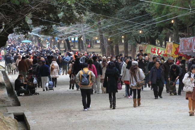 春日大社<br /><br />参道<br /><br />１月３日なので多少は人が少ないのでしょうけど、それでもかなりの参拝客が来ています。<br />