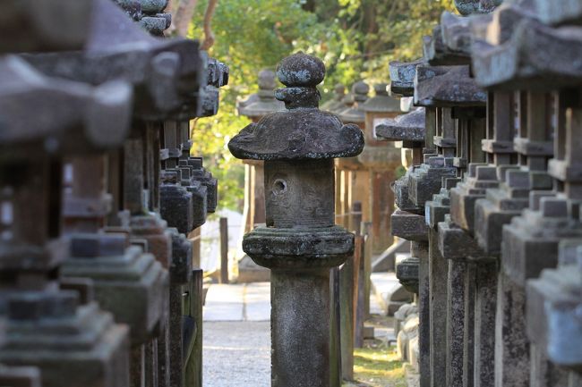 春日大社<br /><br />境内には約３０００基の灯篭があると言われています。<br />