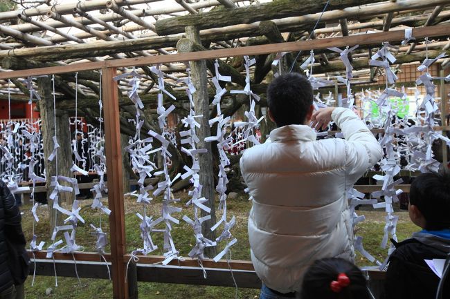 春日大社<br /><br />おみくじは読んだら皆さんここに結びつけていました。<br /><br />本来のおみくじの常識としては、凶が出た場合のみ、境内に結びつけ、悪い運気を断ち切るのだそうです。<br /><br />吉が出た場合は家に持ち帰り、そののちもう一度寺社にお参りした時に、境内に結びつけるのです。<br /><br /><br />