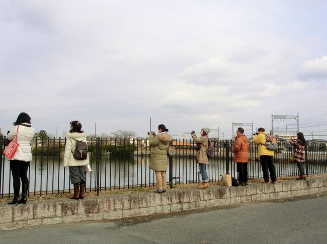 <br /><br /><br /><br />　　ずら〜り整列☆<br /><br />　　みんなは何を撮ってるんでしょうねぇ<br />　　<br />　　<br />　　回答は。。。<br />　　　メンバーの旅行記を見てね(^_-)-☆