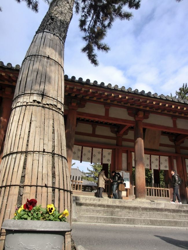 　<br /><br /><br /><br /><br />　　　<br />　　　　唐招提寺　（とうしょうだいじ）<br /><br />　　　　　　　　　　　拝観料　600円<br />