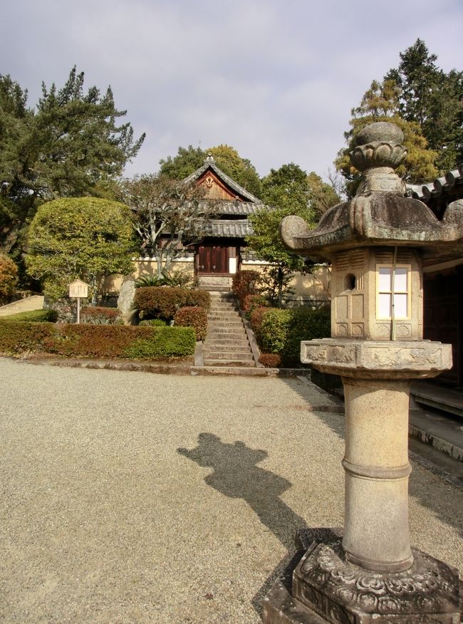 <br /><br /><br />　　<br /><br />　　悪！と嬉しそうに叫んだのは・・・<br /><br />　　天使の顏をしたガブちゃんでした〜(゜o゜)<br /><br /><br />　　正月から、、あく！って・・・(-"-)<br /><br /><br /><br />　　爆笑です<br /><br /><br />　　初めての方は、絶対にドン引きでしょうね〜<br /><br />　　<br /><br /><br />　　でも私達はガブちゃん♪ならではの答えに<br />　　　　　　<br /><br />　　　大笑いです