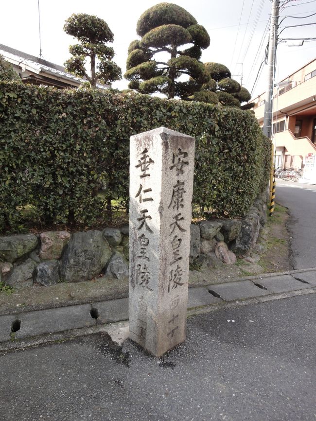 このあたりは、古墳がゴロゴロあるそうですよ♪<br /><br />エジプトでいったら、ギザ？(^_^)v