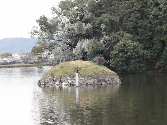 彫刻かと思ってたら、生きてる鳥さんでした♪<br /><br />真ん中の、石碑みたいな上です！
