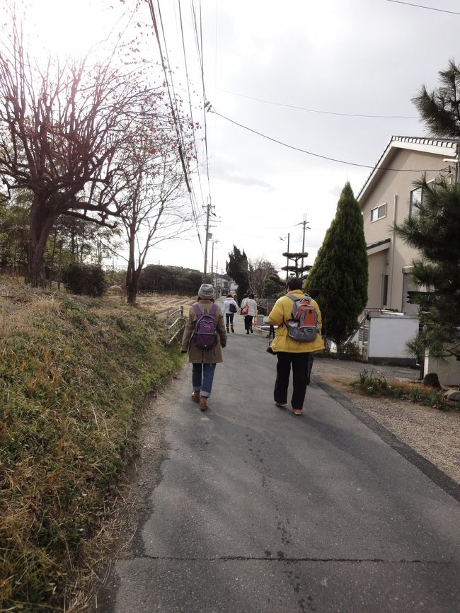 まだまだ歩くよ！