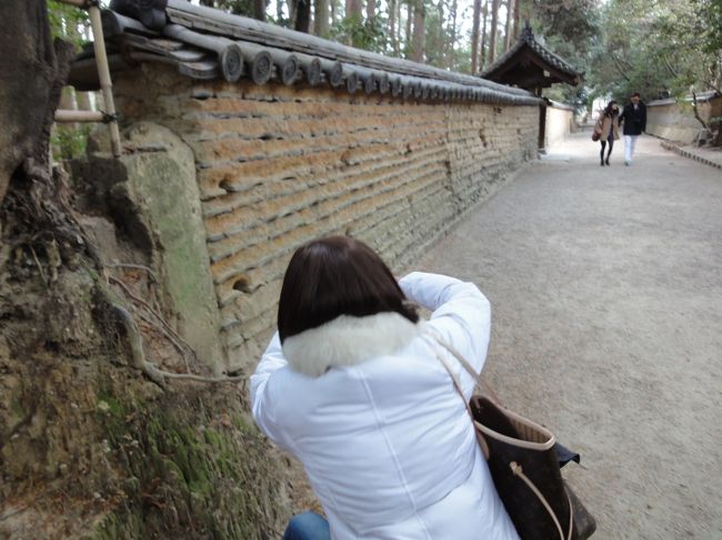 土塀を撮るしっぽさんを撮るのだ！