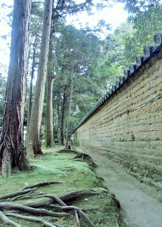 　　<br /><br /><br /><br />　　鑑真和上座像（国宝）非公開ですが…<br /><br /><br /><br /><br />　　６月５〜７日<br /><br />　　この３日間だけ開扉<br /><br /><br /><br />瞑想する姿を忠実に写された鑑真和上に会えますよ<br /><br /><br />失明しながらも初志を貫き来日した和上の不屈の精神が見れます<br /><br /><br />とっても穏やかで引きしまった表情をされていますよ