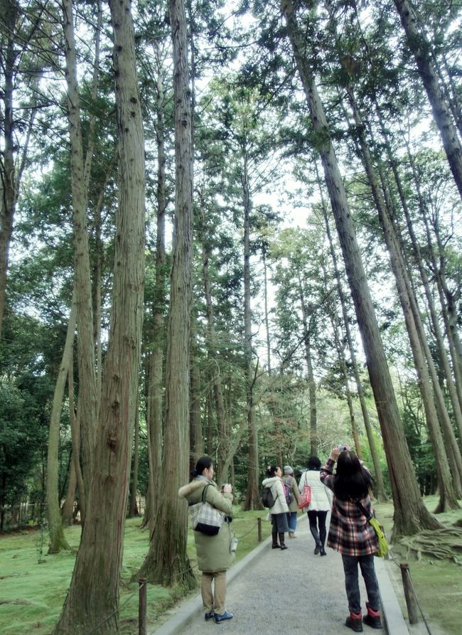 <br /><br /><br /><br />　　　スーちゃんと<br /><br /><br />　　　　デビルガブ♪<br /><br /><br /><br /><br />　　　<br />　　　アハハ　まだ言うか！<br /><br />　　　　<br />　　もちろん今日１日は・・・<br /><br />　　みんなから悪のガブ！と呼ばれていましたよん