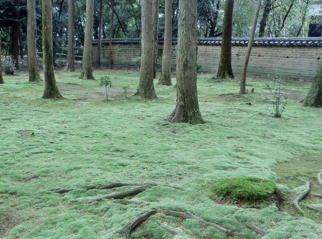 <br /><br /><br /><br />　　　　はやく天使に戻りた〜い！<br /><br />　　　　　　　　　　って・・・<br /><br />　　　　本人は叫んではいません（笑）<br />　　　　　結構 気に入ってたりして(ー_ー)!!