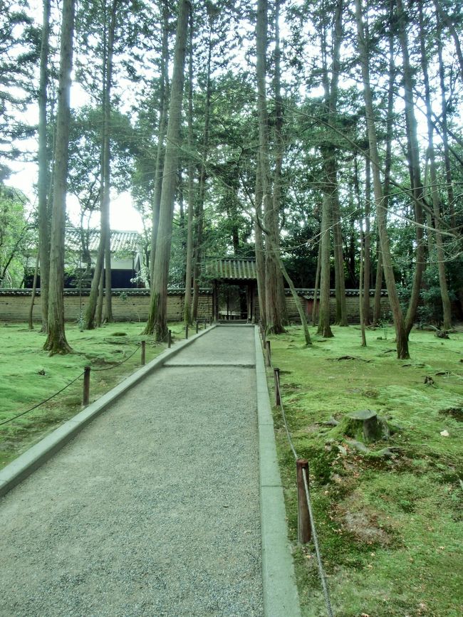 <br /><br /><br />　　　　【秋篠寺】の苔むした庭は有名ですが<br /><br /><br /><br />　　　　こちらも良いかもね<br /><br /><br /><br /><br />　　　　ちなみに苔の見頃は３月頃〜です<br /><br />