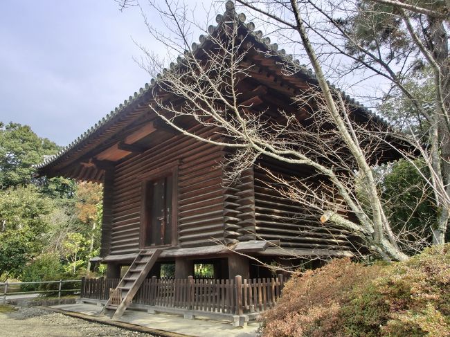 <br /><br />　　庭師のかた<br /><br />　　　「お姉さんは若いから」<br /><br />　　　「くちなしの花」って言う歌知らんやろうけど<br /><br />　　　<br />　　　キャ！　おねぇさん♪やって(#^.^#)<br />