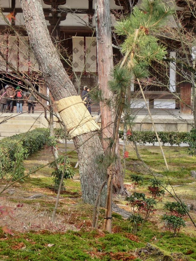 <br /><br /><br /><br />　　　それもこれも<br /><br /><br /><br />　　　　デビルガブちゃんの<br /><br />　　　　愛され小悪魔キャラのおかげ〜