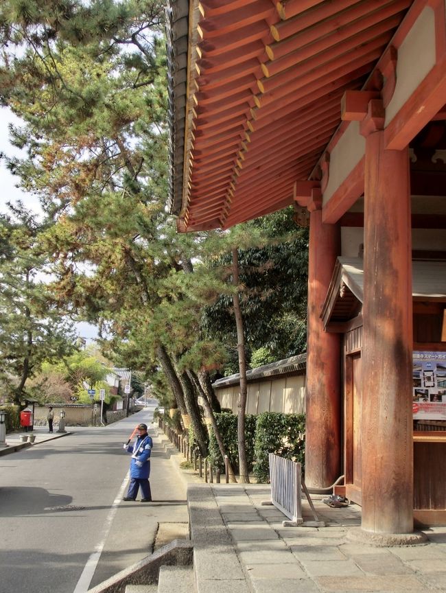 <br /><br /><br /><br /><br />　　　　　唐招提寺<br /><br />　　　　　　　↓<br /><br />　　　待ち合わせ場所の薬師寺へ