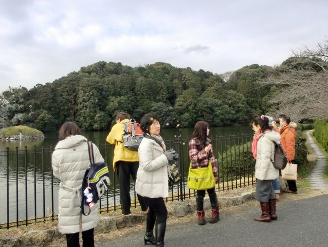 <br /><br /><br />　　垂仁天皇陵　（すいにんてんのうりょう）<br /><br />　　　全長　２２７ｍ　巨大です！ 