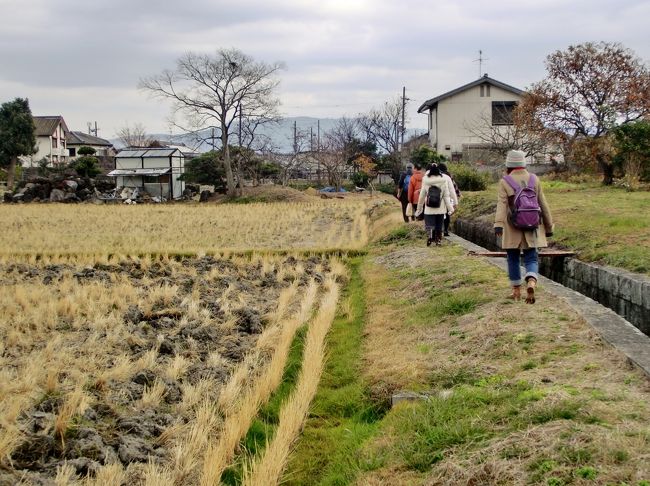 <br /><br /><br />　　　あぜ道　てくてく♪<br /><br /><br /><br />　　　ふふふ　本当は大好き！<br /><br />　　　道路を歩いて行くより楽し♪