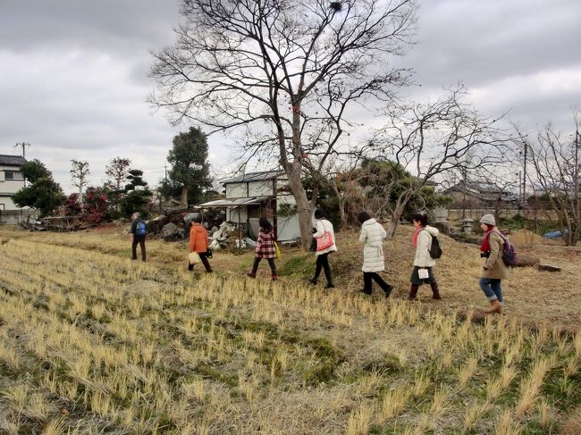 <br /><br /><br /><br />　　　　あぜ道だからね　１列なんです