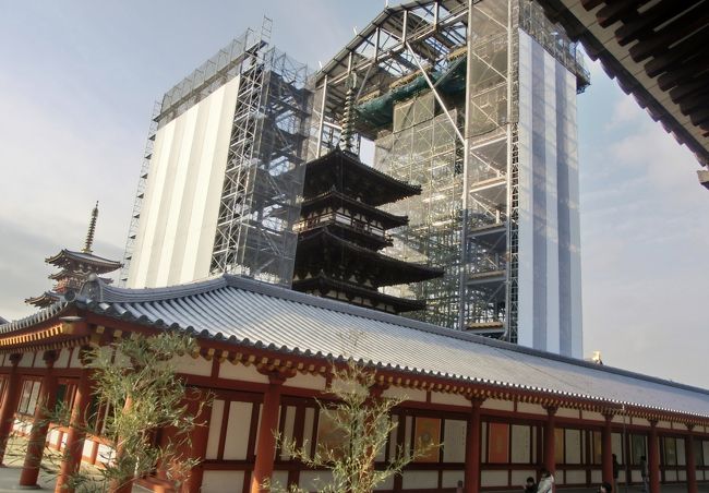 <br /><br /><br /><br />　　　あー(*_*)<br /><br />　　　　とうとう　囲われてしまいましたね