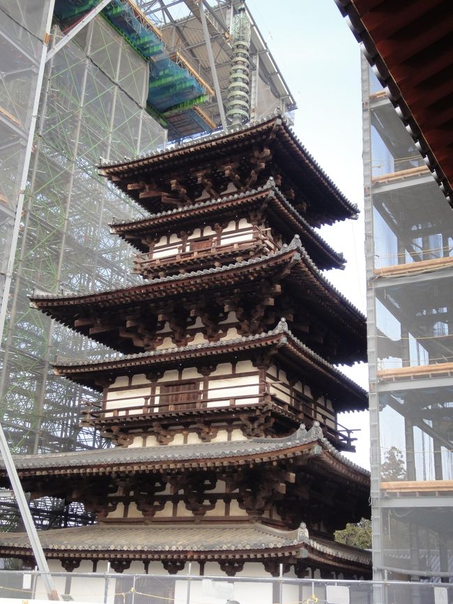 薬師寺の東塔は、修復に入っていて、８年かかるそうです！<br /><br />でも、この風合い、古い感じがいいのに・・・！<br />でも、つぶれちゃったら元も子もないしね(>_<)<br />