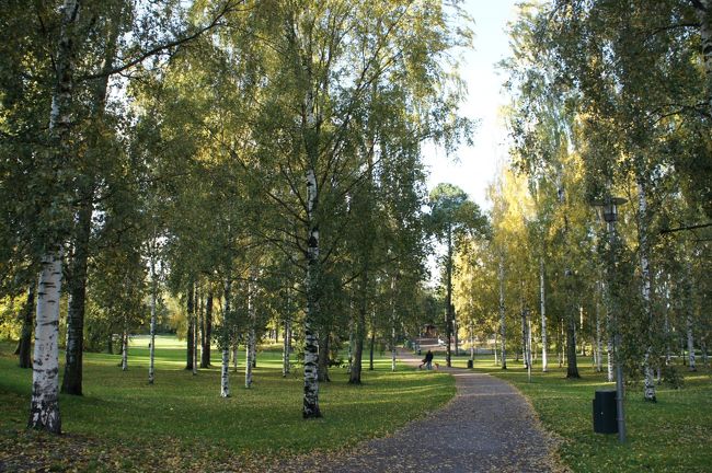まずは、早朝のシベリウス公園へ。<br />平日朝9時過ぎというこもあり人影はまばら・・<br />朝日が白樺の黄葉を照らし、とても綺麗。