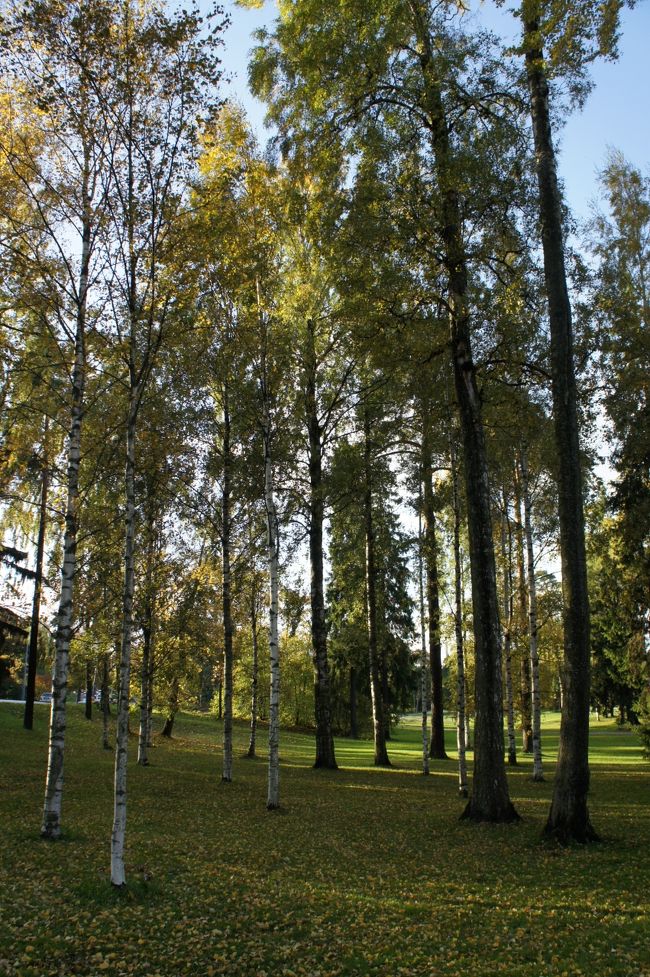 市街地から徒歩圏内の近さにこんなに素敵な公園があるなんて・・ヘルシンキ、初日からすっかりはまりました。