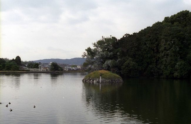 天皇陵の全景が見えてきました。大きな前方後円墳です。<br />古墳のまわりは大きな濠が囲んでいて、悠々と水をたたえています。静かな水面を滑るように水鳥が泳いでいました。<br /><br />手前に見える小さな島は、田道間守（たぢまもり）さんという人のお墓だそうです（真偽不明…）