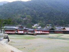 朝の厳島神社
昨日足場を気にしながら写真を撮った潟が広がっています。

実は厳島神社は朝６時半から参拝できるんです。
旅館の人から、朝早くは真っ暗ですよと言われて思いとどまったんですが、朝食をもっと早くするか遅くするかして朝一で入ってみても良かったかもしれません。

バスの出発時間があるのでそろそろ旅館へ戻ります。