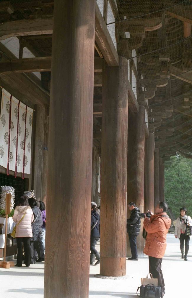 これからお昼まで、しばらく自由行動の時間。とはいっても、みんな最初は金堂におまいりします。<br /><br />金堂の大屋根を支えるエンタシスの柱。<br />優しくて、力強いです。<br /><br />金堂の中央にいらっしゃるのは、奈良時代につくられた大きな盧舎那仏坐像。向かって左に千手観音立像、右に薬師如来立像。外からしか拝観することはできませんが、堂内の厳かな空気が金堂全体を包んでいるのを感じます。<br /><br />カメラを構えておられるのは大目付さん。被写体を見つめる視線に美意識の高さを感じます！！<br /><br />
