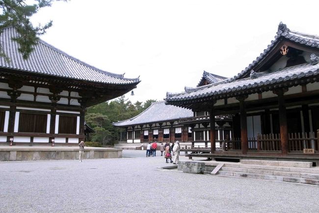 お正月とは思えない、静かな境内。