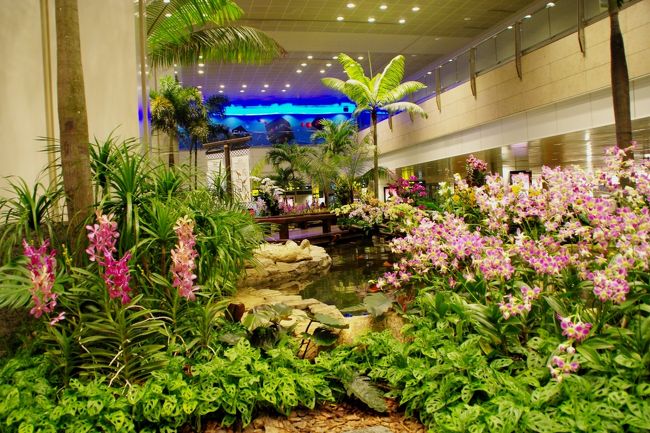 蘭も咲き乱れホント綺麗。