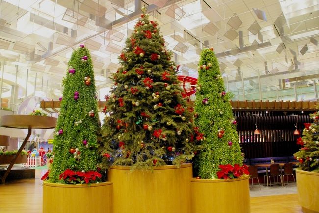 いつまでもクリスマスの雰囲気ね。