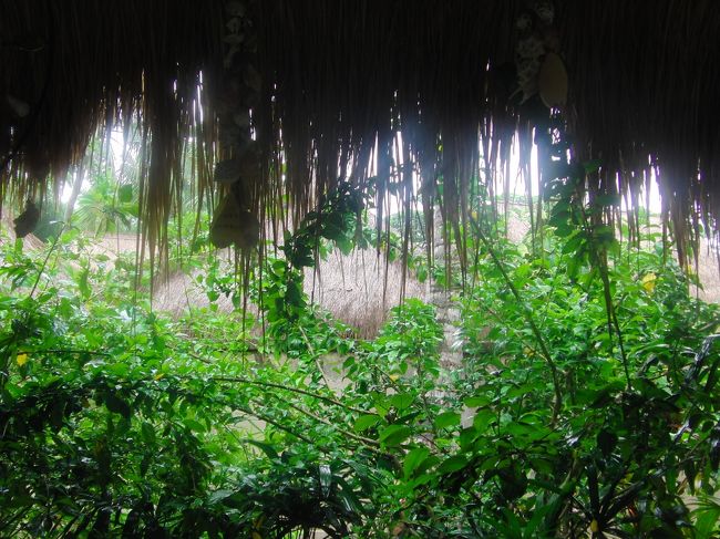 <br />途中スコールが降ったので、<br /><br />避難。<br /><br /><br />この風景の向こうに、<br /><br />宿泊用のコテージなんかもあり、<br /><br />あーバリだなって感じでした。