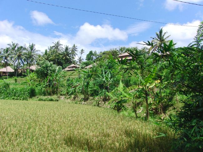 <br />　風景。<br /><br />　ほんとに緑が多い、<br /><br />　インドネシア。