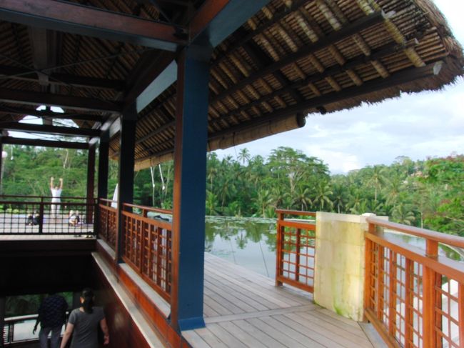 <br />　向こうのほうで、<br /><br />　ヨガやってるみたいですね。<br /><br />　いいな〜。