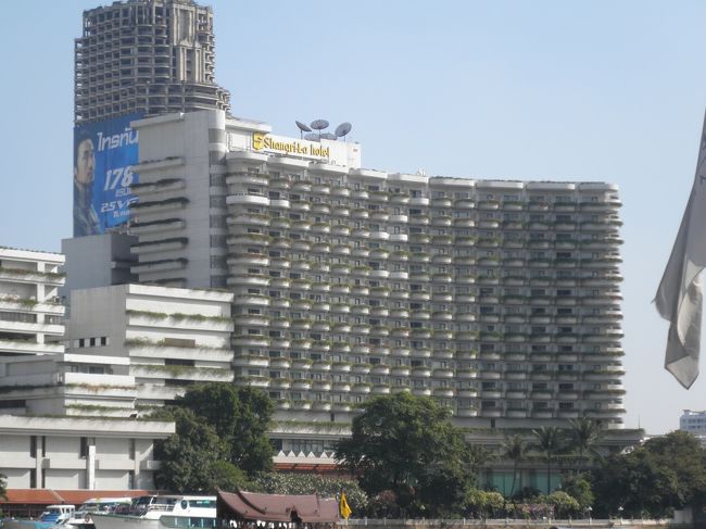 シャングリラです。