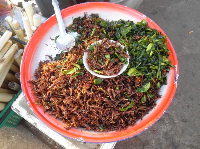 東南アジア、お決まりに昆虫？バッタでしょうか？ひとつまみさせてもらい、頂きました。香草の香りと塩味かよく効いてビールに合いそう。ラオスにさよならを告げ、ウドンターニーへ！