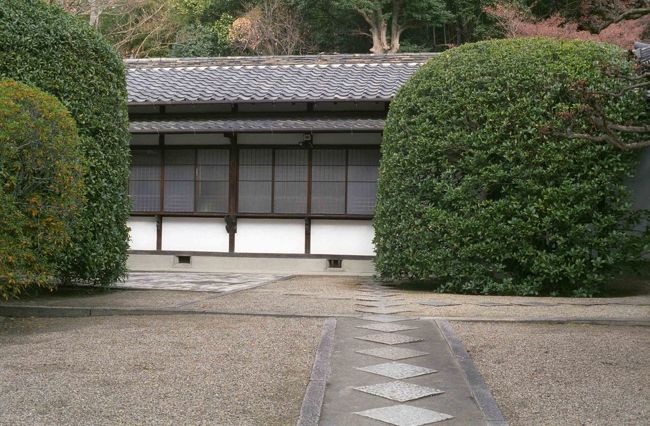 戒壇の前の道を境内の奥の方へフラフラ歩いていたら、皆さんとはぐれちゃいました。迷子になるの、得意です。<br />というわけで、しばし単独行動。<br /><br />ここは本坊です。蓮の時期にはここにたくさんの蓮の鉢が並べられます。