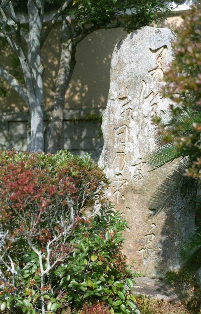 と追いかける途中で思わず寄り道。<br />旧開山堂の前には有名な句碑があるのです。<br /><br />若葉して　御目のしずく　拭はばや<br /><br />かの松尾芭蕉が鑑真和上の像を拝して詠んだものです。