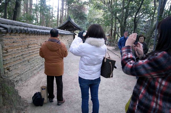 鑑真和上御廟へ行く道の途中で、やっと皆さんと合流。<br /><br />寂びた塀を撮影する大目付さんを写す豚のしっぽさんを写すガブリエラさんを写す私。<br /><br />すれ違う人たちが不思議そうに眺めていきます…(^^;)