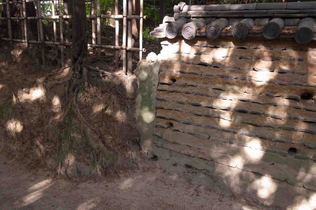 ちょっと日が差すと、木洩れ日がきれいです。