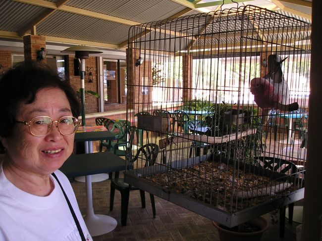 母と鳥。この鳥、旅行中、あちこちで会いました。<br /><br />さーて、今日はカルバリーへ行くぞ！