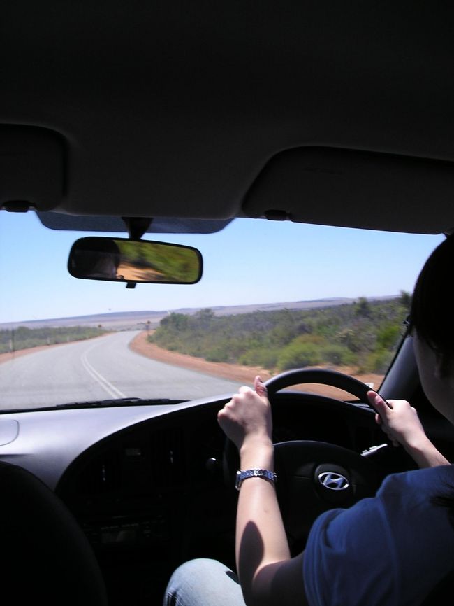 「本当に海の近く...？」と思いながら、赤土の中、アクセルを踏む。<br />カルバリーには国立公園もあるそうですが、母の身体では難しーだろうと<br />やめておくことに。