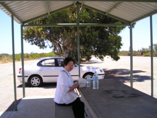 昨日、なかなか途中で店に出会えなかった反省を活かし、<br />途中のガソリンスタンドでサンドイッチを買って食べた。<br />ニンジンがはいっていて、気のせいかせっけん？の味がした。<br /><br />気持いいけど、めちゃ風が強い！<br />あとトイレがとても綺麗でびっくり！！なぜだ。<br /><br />しかっしなにもない。