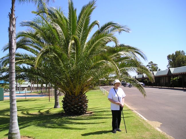 ３日目<br /><br />いー天気だ。<br />朝食は昨日スーパーで買ったものを簡単に食べる。<br />やっぱりキッチンがあるとすごく便利。<br />洗濯もすませて、さぁデナムへ向けて出発。<br /><br />写真はモーテルの部屋の前。<br />