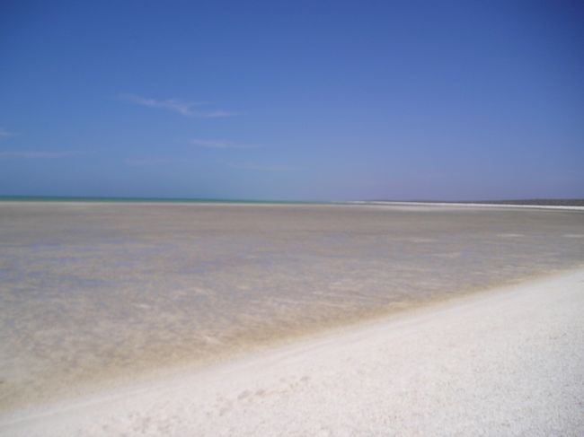 さぁ待ってました！シェルビーチに到着！<br />これ砂ではなくぜーんぶ小さい貝がらなんです！！