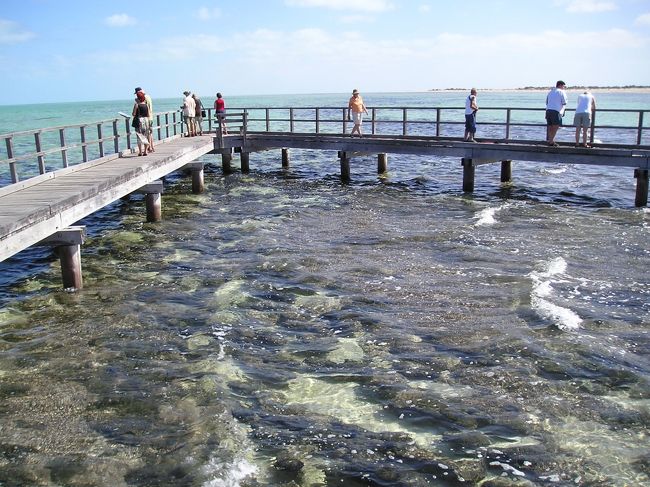 これが35億年前に生息してたストロマトライトか！<br />ひー！！<br />ここでは観光客もそれなりにいて、ハローと声をかけてくる。