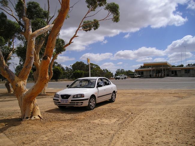１日目<br /><br />はじめてのオーストラリア！<br />早速、パースの空港からレンターカーで出発！<br />車はヒュンダイ。この旅ではとても<br />頑張ってくれました！<br /><br />しかし快調だったのもつかの間で、<br />中心部がわかりずらく２時間くらい<br />迷ってしまった...(涙)。<br /><br />やっとのことで、セルバンテスに到着。<br />夕方の予定が、すでに１９時すぎになっていた！<br /><br />チェックイン後、早速レストランへ。<br />せっかくなんで、オージービーフと<br />調子に乗ってオーダーしたが...<br />出てきたのは巨大な肉岩だった（涙)。<br /><br />最後のほうは、母とはーはー<br />言いつつ食べたが、結局少し残して<br />しまった。気持が悪く、正露丸を<br />飲み就寝。<br /><br />初日にして、オーストラリアのビックな<br />洗礼を受けた気がした（笑）。<br />