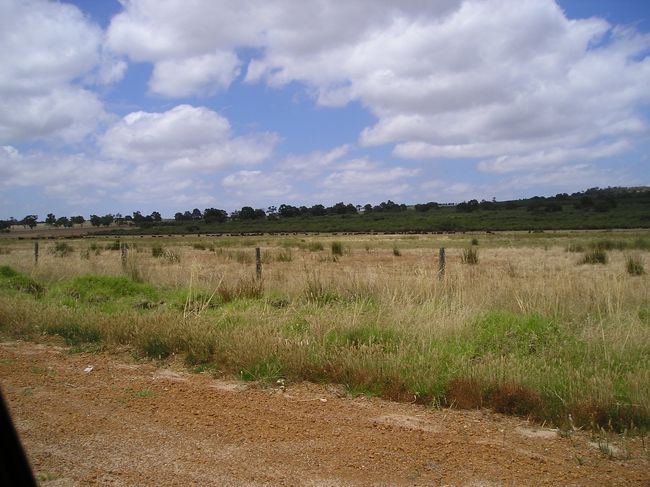 次の日。<br />さぁここまで来たからにはワインをゲットしたい！<br />ってなことでワイナリーに立ち寄ることに。<br />この辺は、あちこちにワイナリーがある。