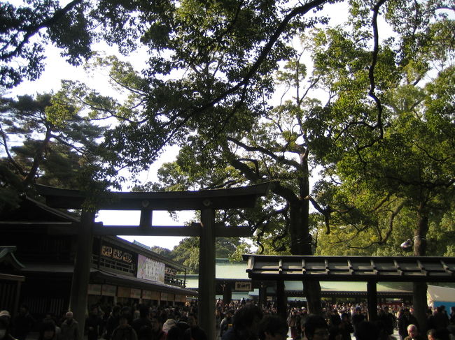 今回は初詣の参拝者で混雑しており、ゆっくりはすごせませんでしたが、都心にありながら、こんな自然豊かで素敵な場所があるなんて驚きました。次は暖かい季節になったら御苑を散策しにまた訪れたいと思います。