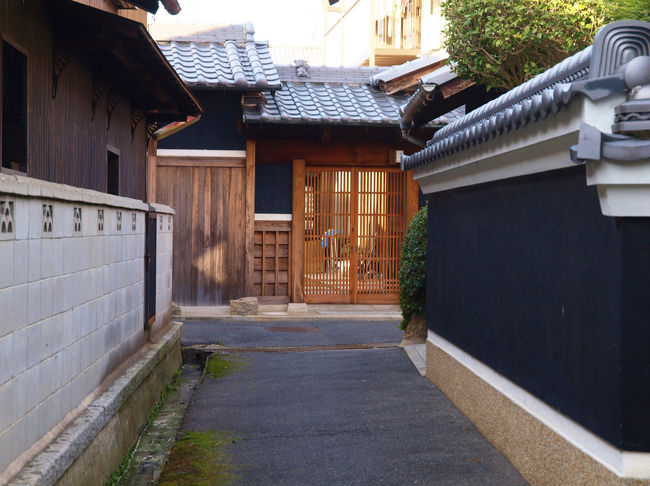 見通しのきかない道ばかり